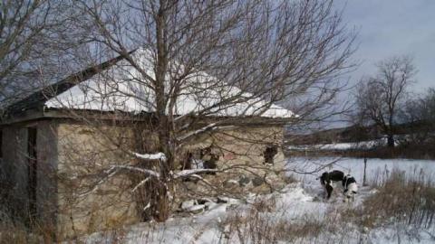 Stone on Willoughby - Stone-Something8.jpg