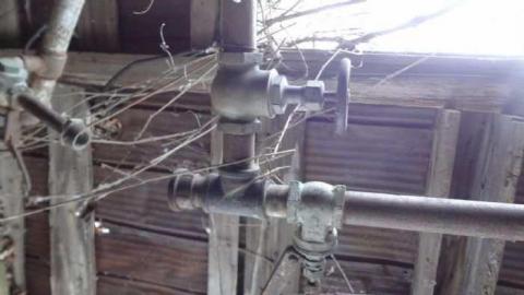 Not so Sweet 2012 - West-Grey-Sugar-Shack13.jpg