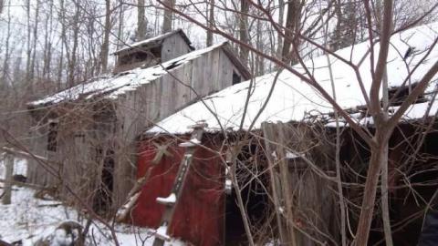 Not so Sweet 2012 - West-Grey-Sugar-Shack14.jpg