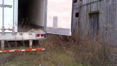 December 2012 Visit - IMG-20121223-00125.jpg