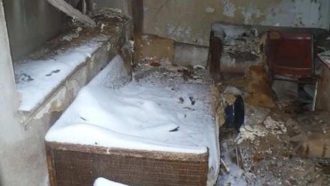 Pine Rot - P1100437.jpg