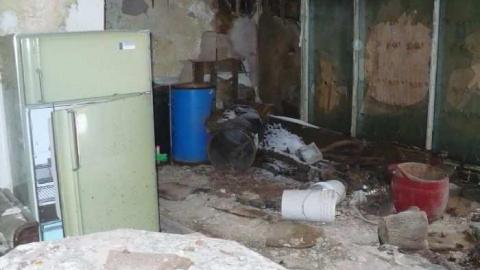 Pine Rot - P1100438.jpg