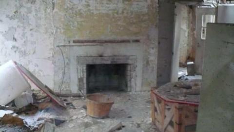 Pine Rot - P1100439.jpg