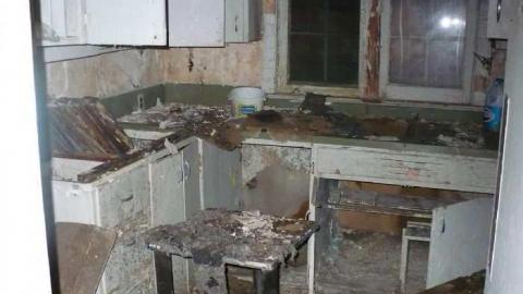 Pine Rot - P1100440.jpg