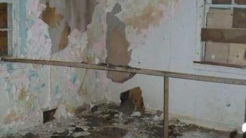 Pine Rot - P1100444.jpg