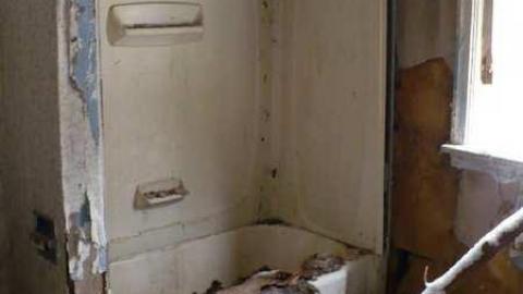 Pine Rot - P1100445.jpg