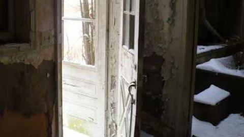 Pine Rot - P1100446.jpg