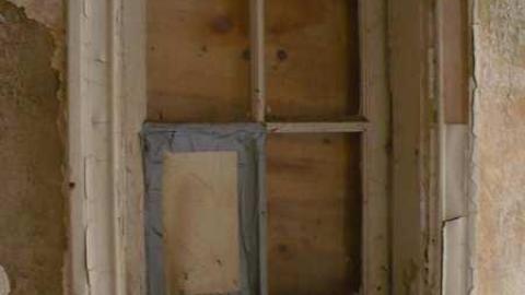 Pine Rot - P1100448.jpg