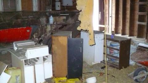 Pine Rot - P1100451.jpg