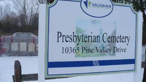 Pine Rot - P1100452.jpg