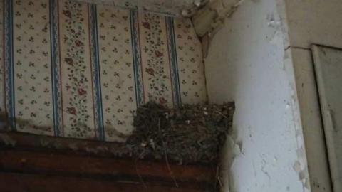 Foggy Nov/12 Trip - 8th-Line-Farm34.jpg