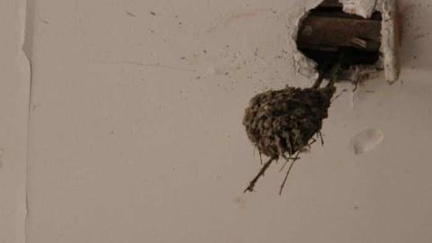 Foggy Nov/12 Trip - 8th-Line-Farm28.jpg