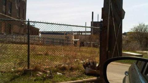 Gallery - IMG00185-20100410-1256.jpg