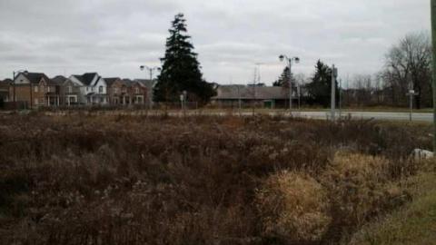 19/12/2012 - Plain-Bungalow5.jpg