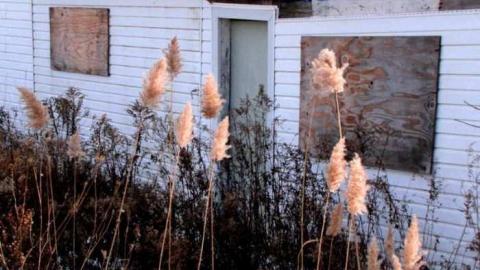 Imagination a Mental Workshop - 1b.jpg