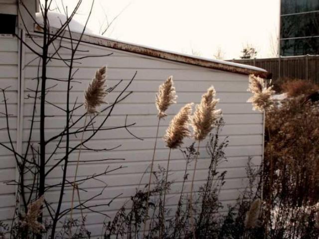 White on White photo 2