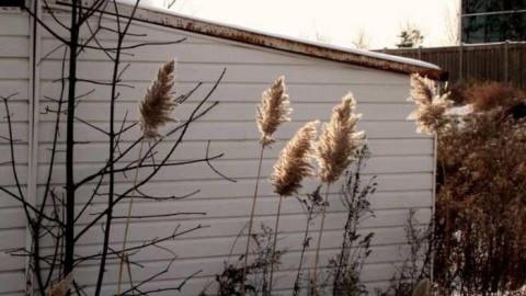 White on White photo 2