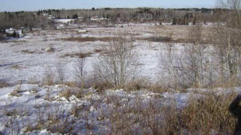 Riverview Raceway - Riverview-Raceway12.jpg