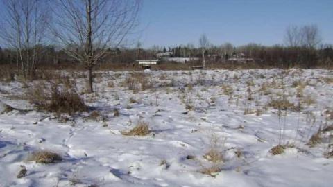 Riverview Raceway photo 3