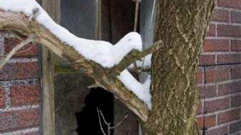 Going, going... - Insulbrick-House22.jpg