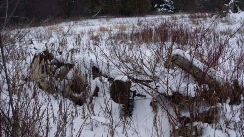 Going, going... - Insulbrick-House23.jpg