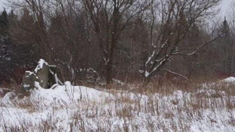 Going, going... - Insulbrick-House6.jpg