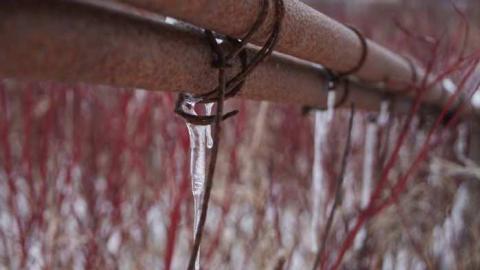 Going, going... - Insulbrick-House24.jpg