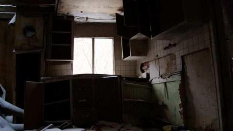 Going, going... - Insulbrick-House12.jpg