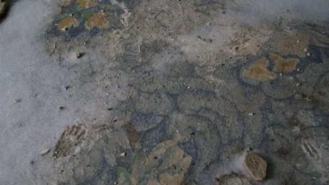 Going, going... - Insulbrick-House18.jpg