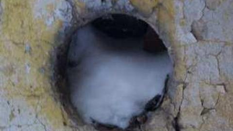 Going, going... - Insulbrick-House38.jpg