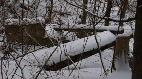 Forgotten Flume - Forgotten-Flume6.jpg