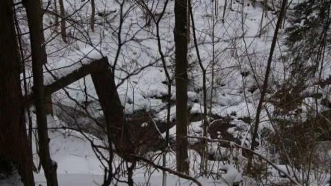 Forgotten Flume photo 3