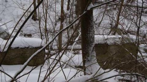 Forgotten Flume - Forgotten-Flume9.jpg