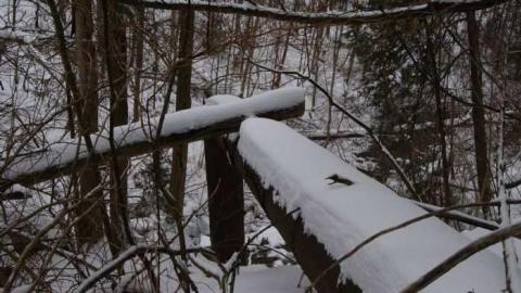 Forgotten Flume - Forgotten-Flume10.jpg