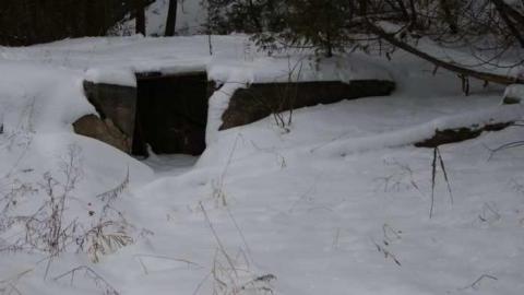 Forgotten Flume - Forgotten-Flume12.jpg