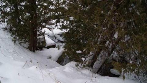 Forgotten Flume - Forgotten-Flume15.jpg