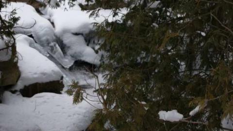 Forgotten Flume - Forgotten-Flume16.jpg