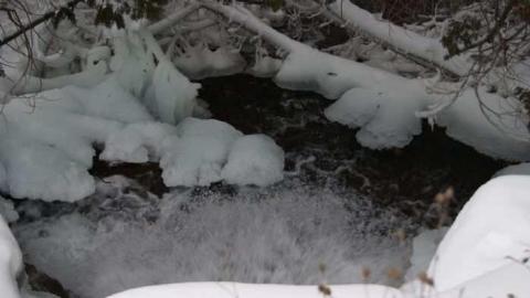 Forgotten Flume - Forgotten-Flume18.jpg