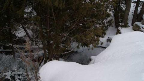 Forgotten Flume - Forgotten-Flume20.jpg