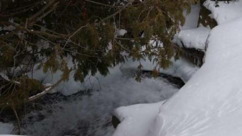 Forgotten Flume - Forgotten-Flume21.jpg