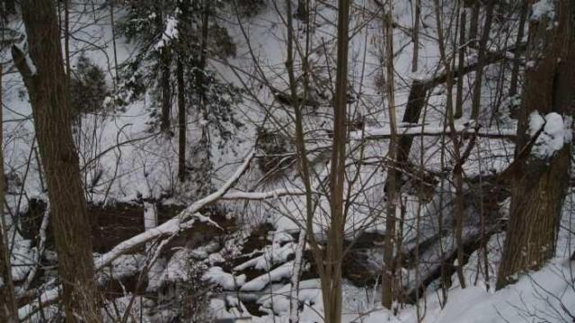 Forgotten Flume photo 5