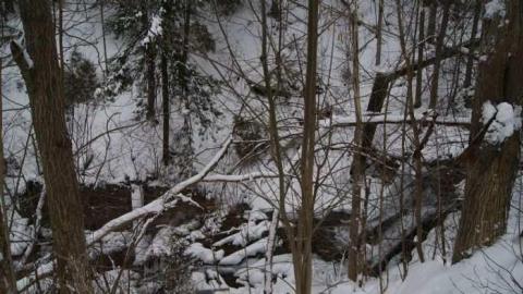 Forgotten Flume photo 5