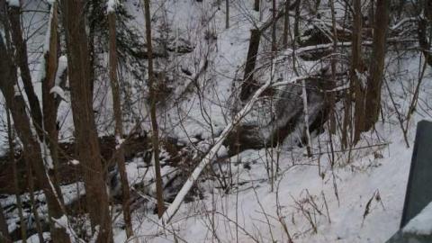 Forgotten Flume - Forgotten-Flume23.jpg