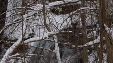 Forgotten Flume - Forgotten-Flume5.jpg