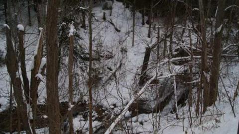 Forgotten Flume - Forgotten-Flume24.jpg