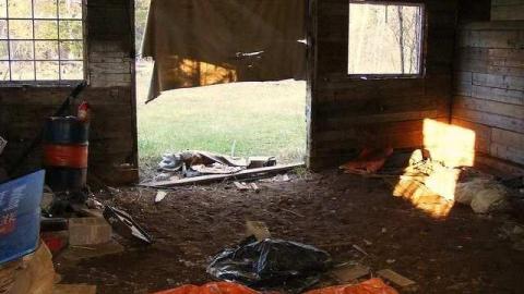 Maple Hoarder - Mapleward-Hoarder1.jpg