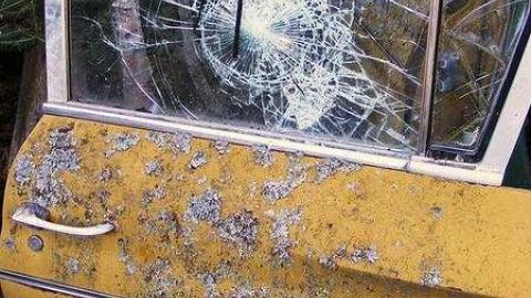 Maple Hoarder - Mapleward-Hoarder3.jpg