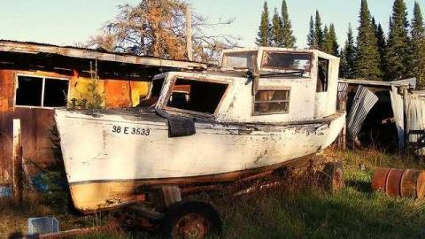 Photo from Maple Hoarder