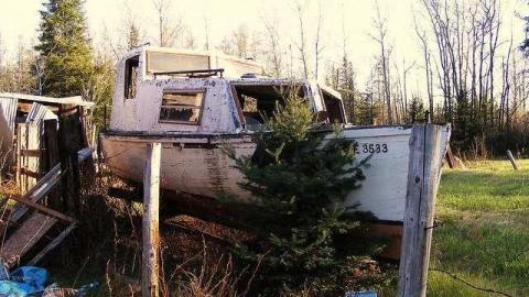Photo from Maple Hoarder