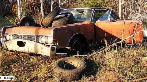 Photo from Maple Hoarder